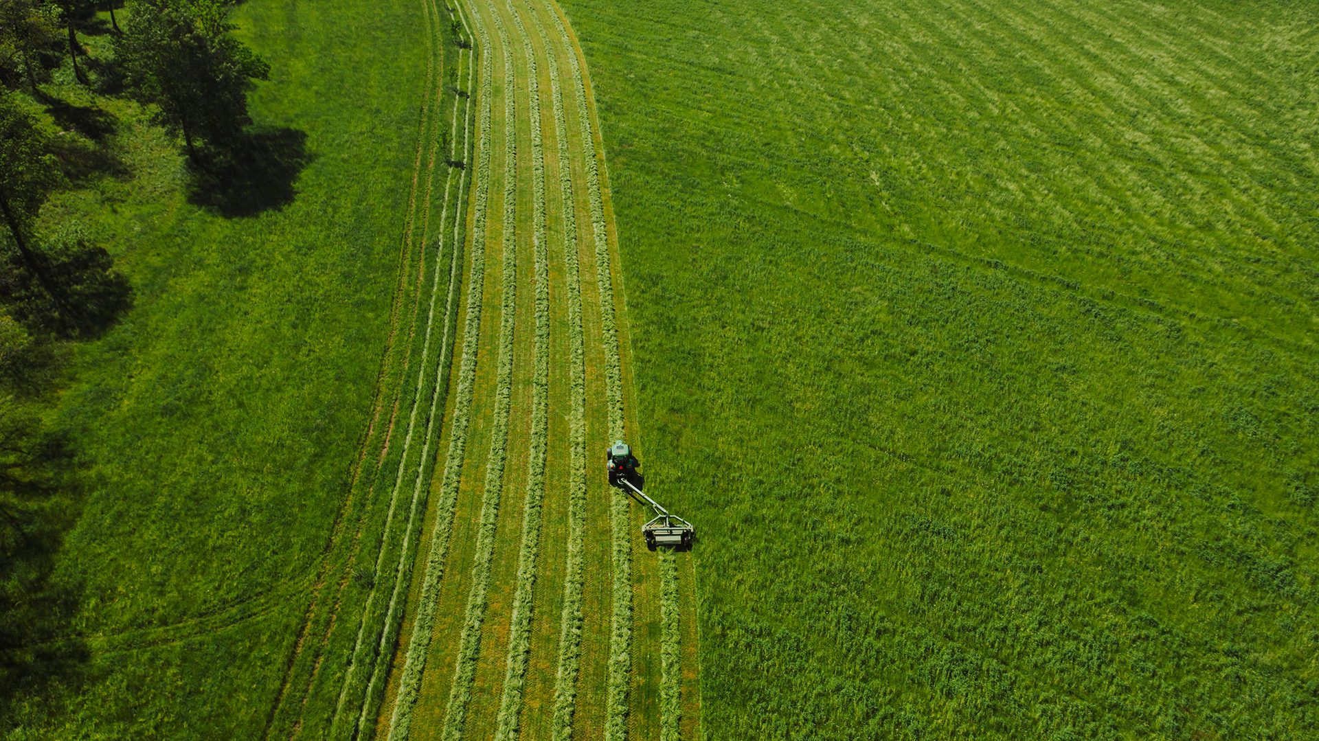 Hovenier Stegeman aan het werk: agrarisch loonwerk en gras maaien in de regio Nijverdal en Hellendoorn.